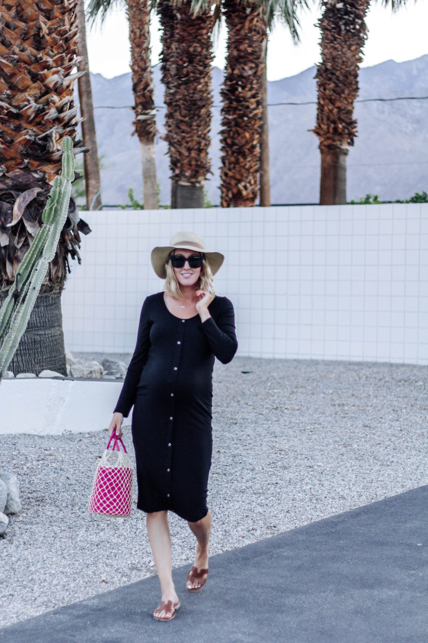 palmspringsblogger