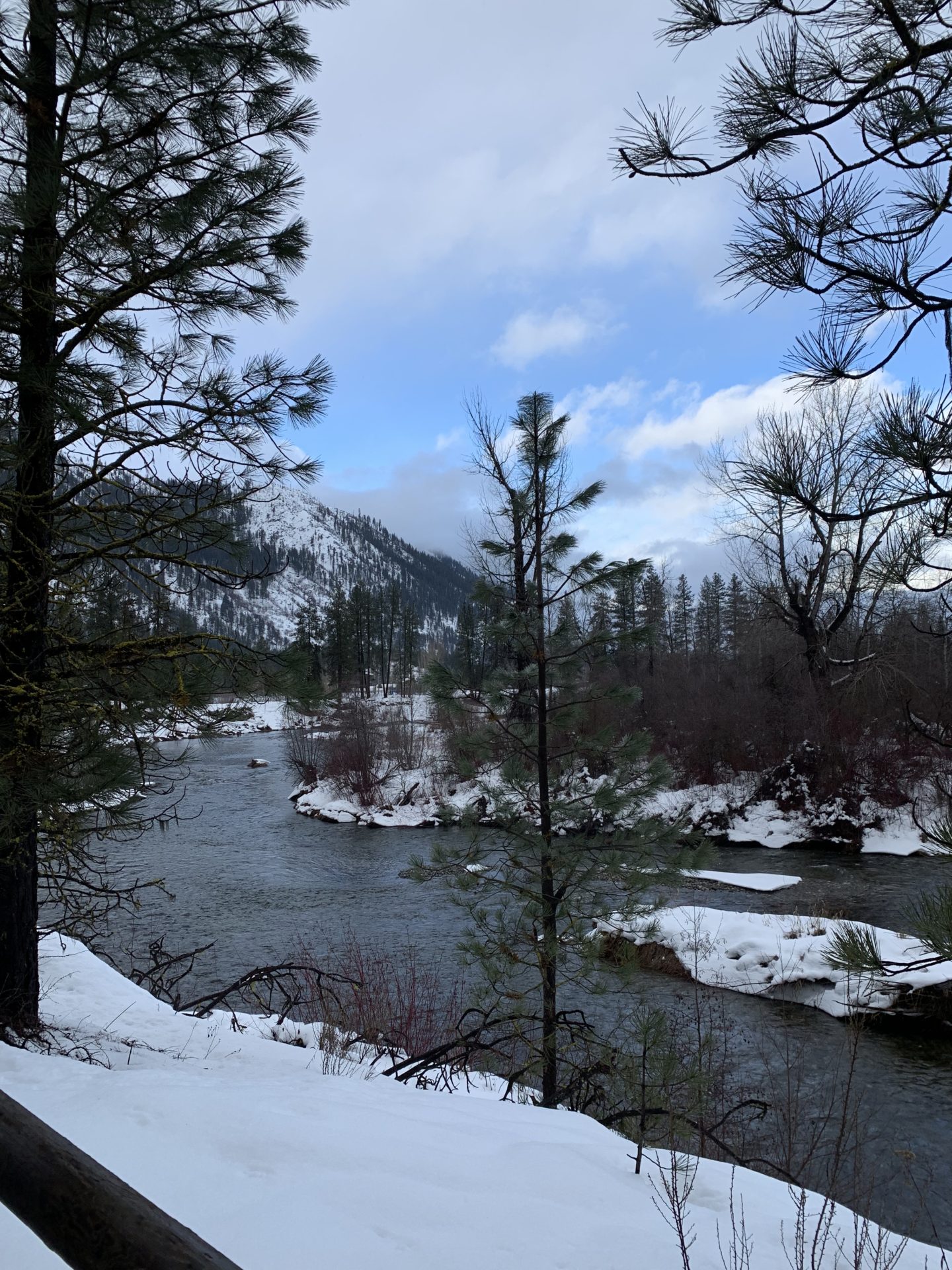 snowshoeing in washington