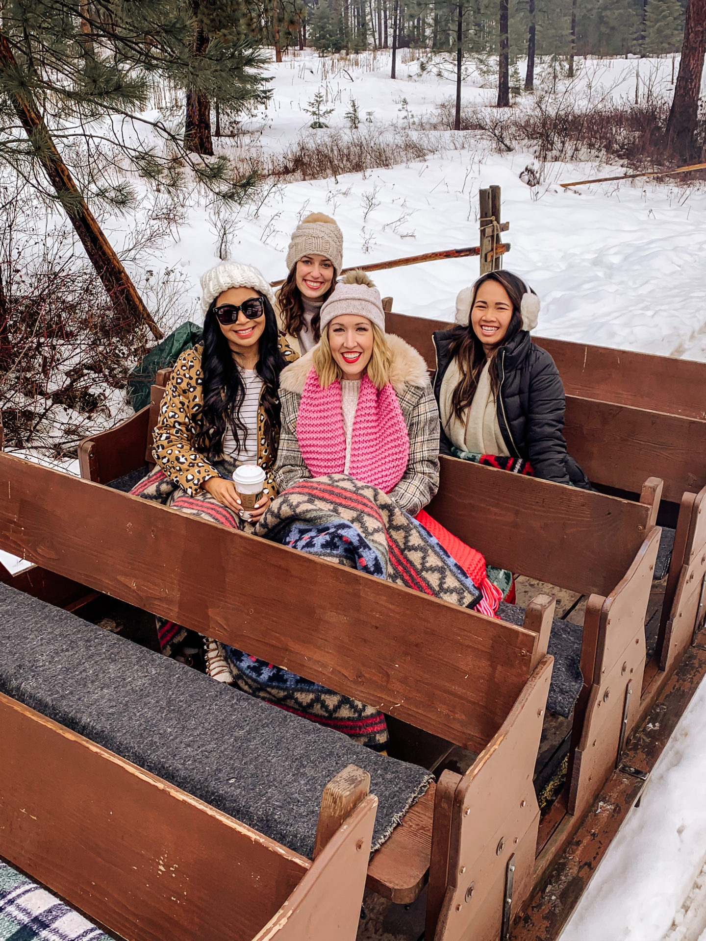 sleigh rides in washington