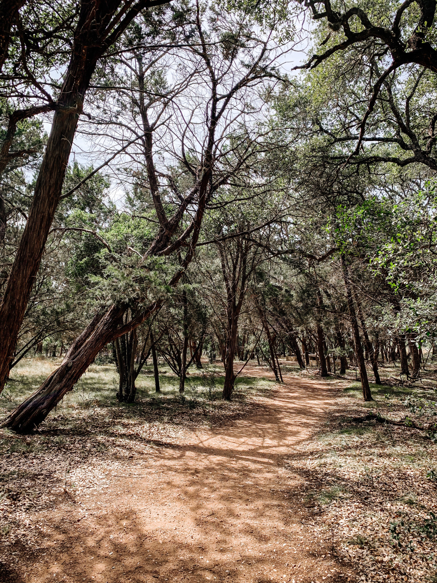 blue hole regional park hiking and bike trails