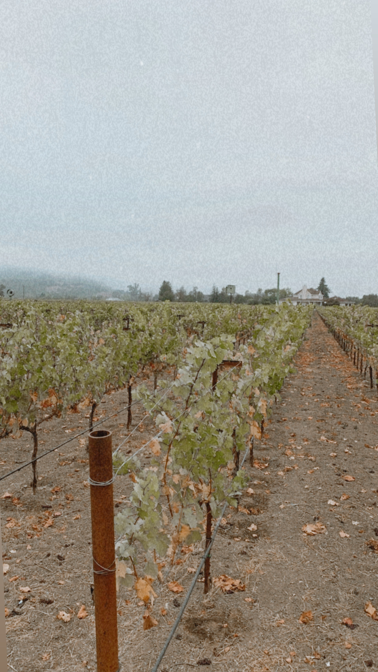 napa valley travel guide