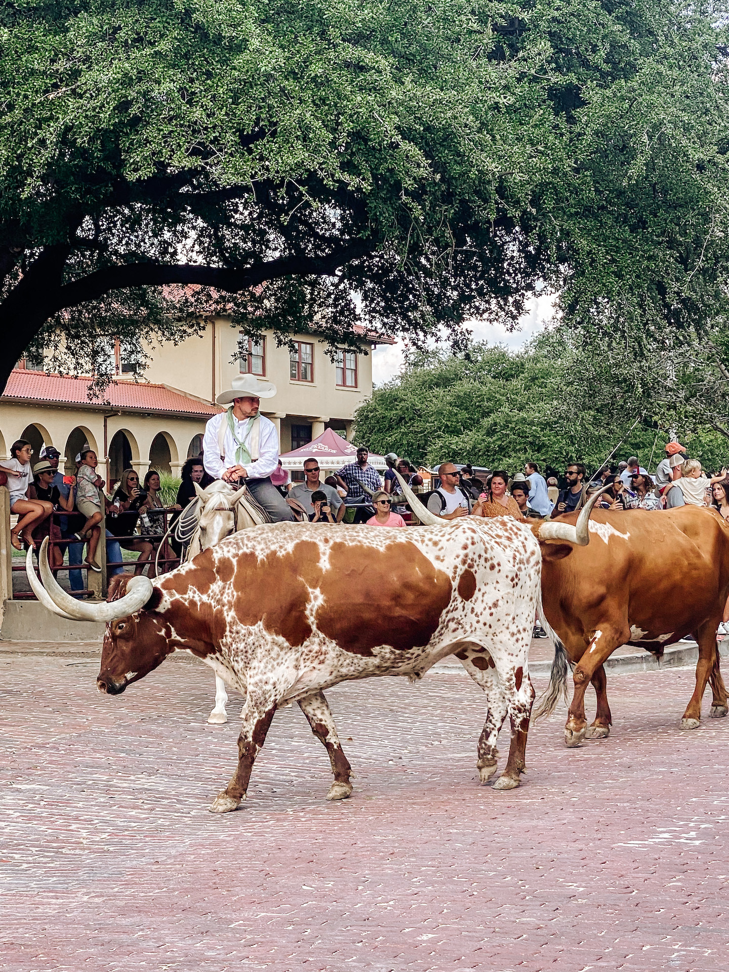 things to do in ft worth